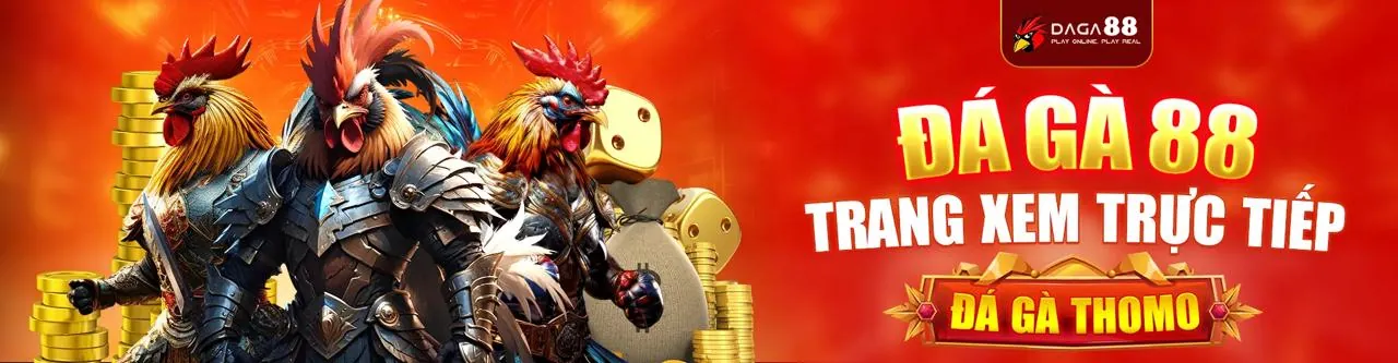 Đá gà trực tuyến tại XO88