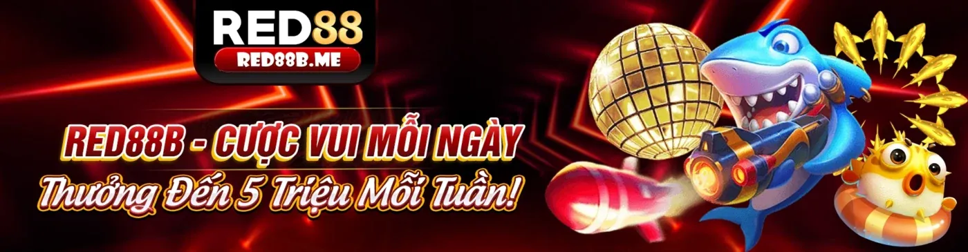 Chính sách Cookie của xo88 trang chủ chính thức